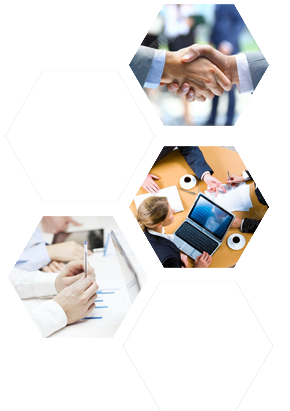 创新基因的加深=贯标