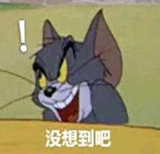 想不到吧表情包