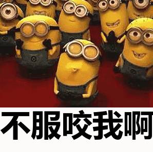 不服咬我呀 不服咬我呀