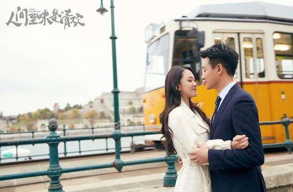 丁人间和安清欢 丁人间和安清欢