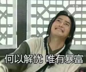 何以解忧 唯有暴富