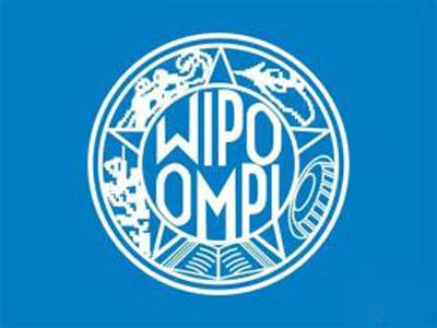 马德里商标的“青岛现象” 马德里商标的“青岛现象”