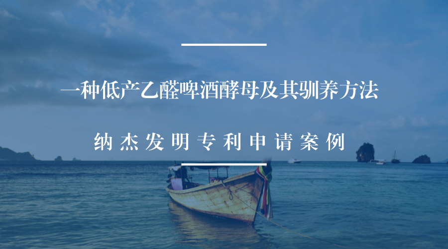 一种低产乙醛啤酒酵母及其驯养方法 一种低产乙醛啤酒酵母及其驯养方法