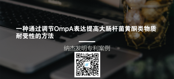 一种通过调节OmpA表达提高大肠杆菌黄酮类物质耐受性的方法 一种通过调节OmpA表达提高大肠杆菌黄酮类物质耐受性的方法