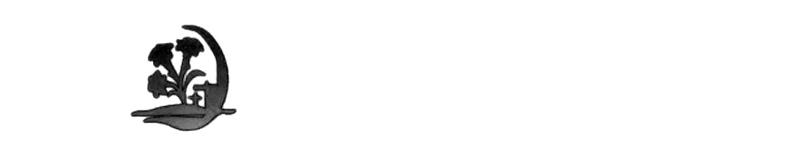 第19380834号图形商标