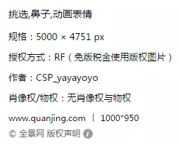 图片版权信息 图片版权信息