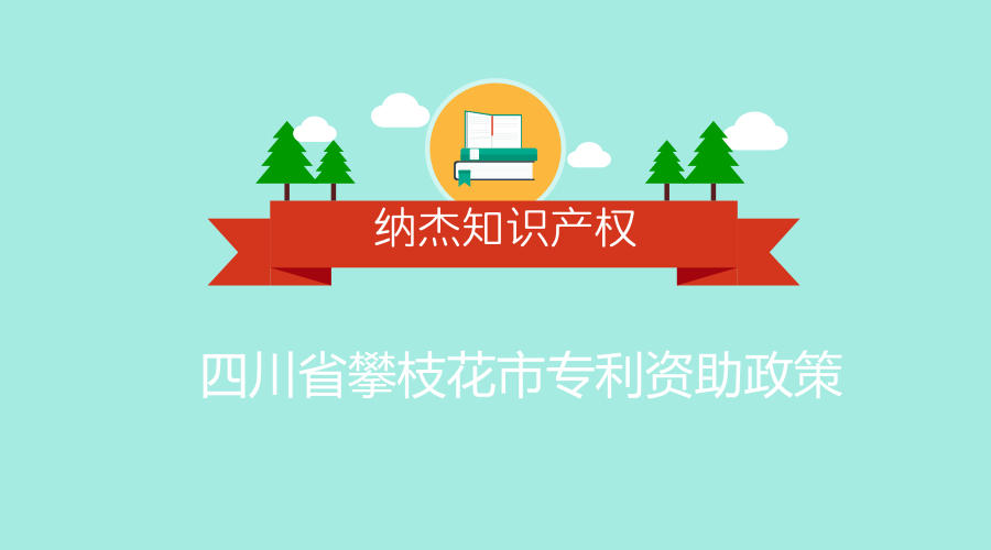 四川省攀枝花市专利资助政策
