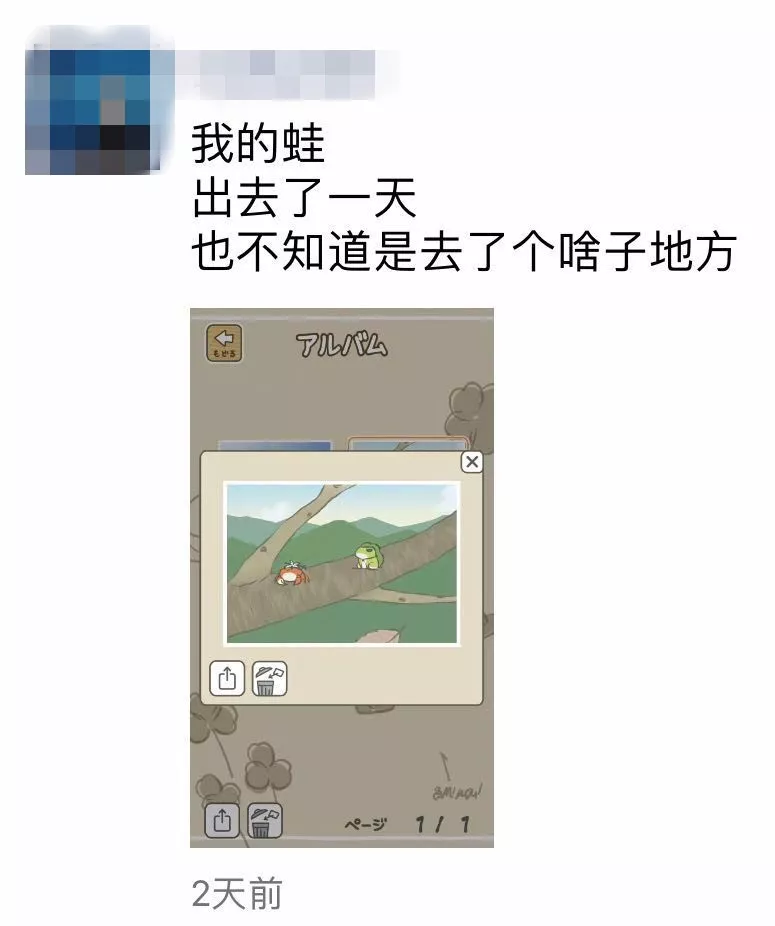 旅行的青蛙刷屏