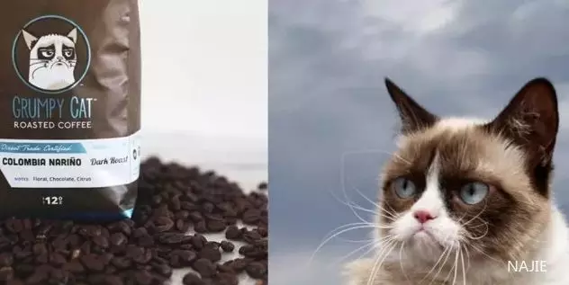 不爽猫咖啡粉 不爽猫咖啡粉