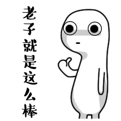 老子就是这么棒 老子就是这么棒