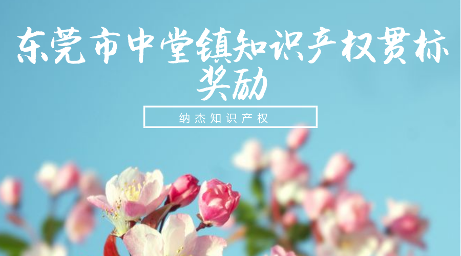 东莞市中堂镇知识产权贯标奖励 东莞市中堂镇知识产权贯标奖励