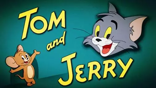 猫和老鼠 猫和老鼠