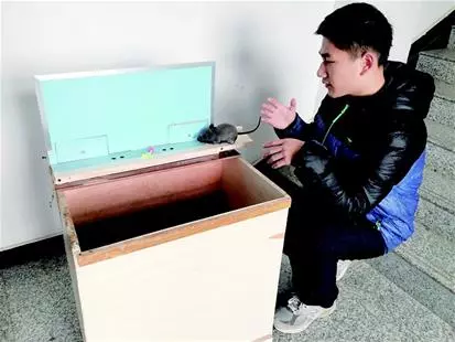 李翔的第三种捕鼠装置 李翔的第三种捕鼠装置