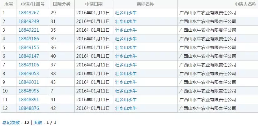 “壮乡山水牛”商标 “壮乡山水牛”商标