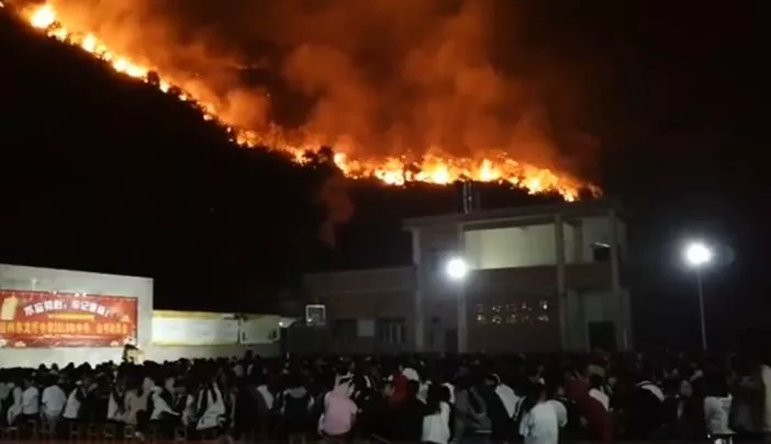 起火了也不跑的师生 起火了也不跑的师生