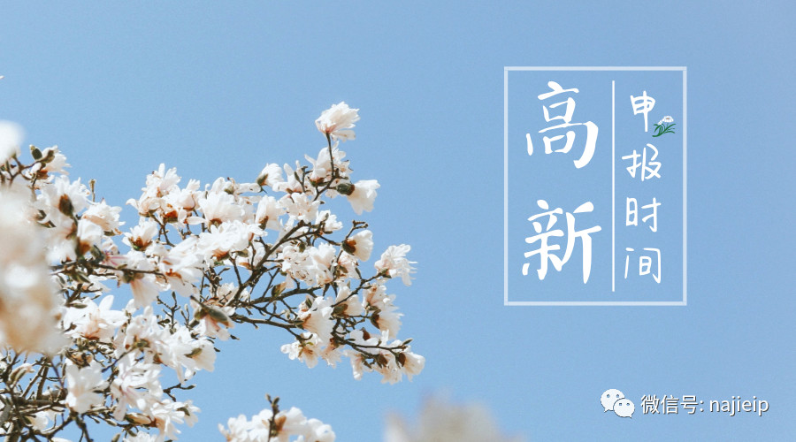 高新申报时间