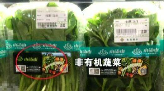 央视调查“有机”蔬菜 央视调查“有机”蔬菜