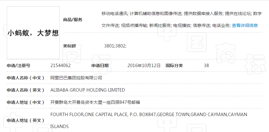 小蚂蚁，大梦想