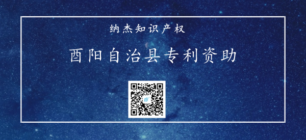 酉阳自治县专利资助