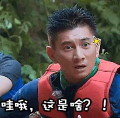 哇哦,这是啥 哇哦,这是啥