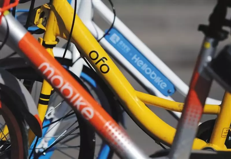 报告显示共享单车步入理性成熟发展期 开始拼盈利 报告显示共享单车步入理性成熟发展期 开始拼盈利