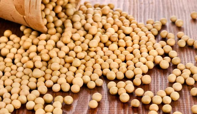 中国将印度、韩国等国大豆进口关税降至零 中国将印度、韩国等国大豆进口关税降至零