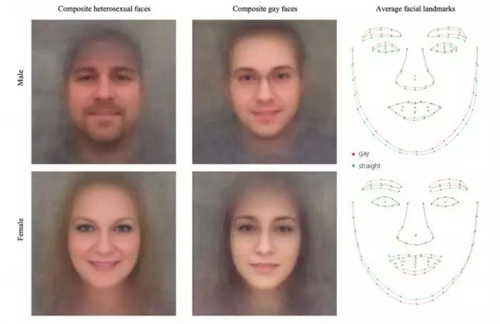 斯坦福教授使用人脸识别鉴别直男:大量网友发信求助 斯坦福教授使用人脸识别鉴别直男:大量网友发信求助