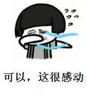 可以 这很感动