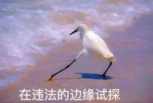 在违法的边缘试探 在违法的边缘试探