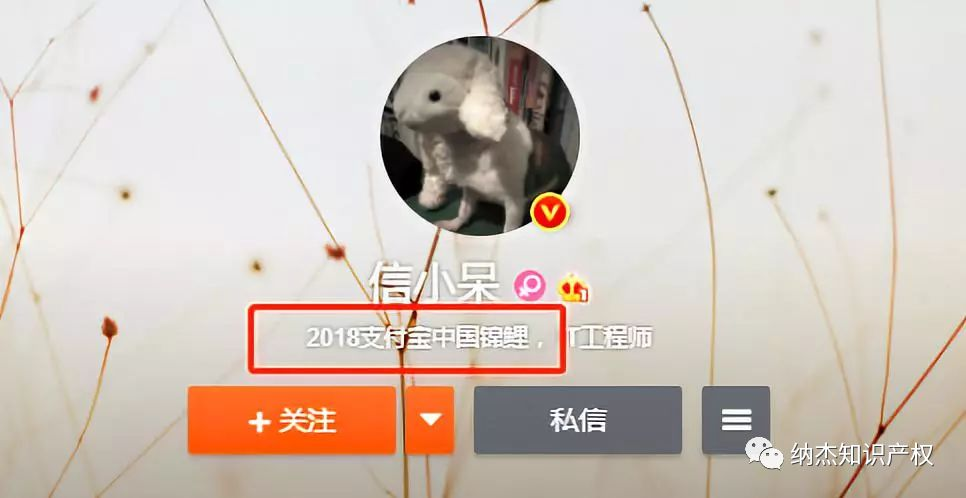 信小呆的微博认证