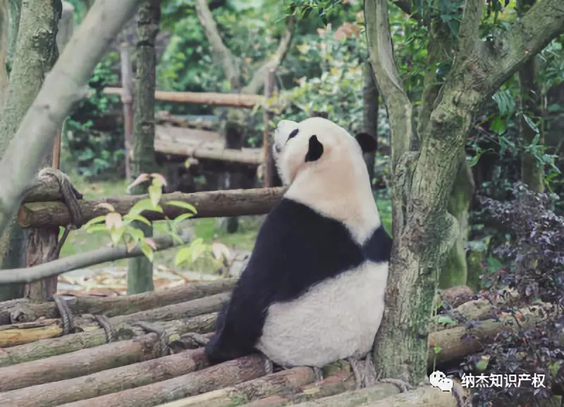 祈愿一切安好 祈愿一切安好