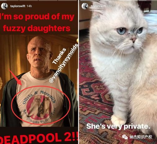 Olivia Benson和Meredith Grey