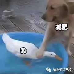 减肥 减肥