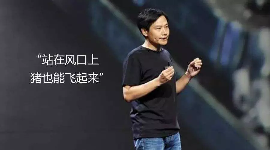 站在风口上猪也能飞起来