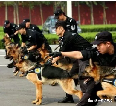警犬(图源中国网) 警犬(图源中国网)