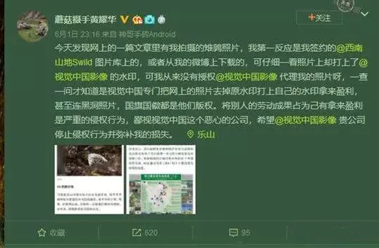 @蘑菇摄手黄耀华称视觉中国侵权 @蘑菇摄手黄耀华称视觉中国侵权