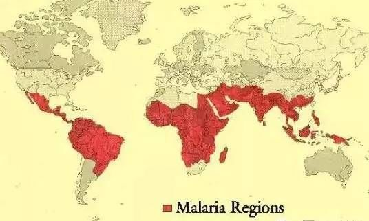 流行疟疾的地区 流行疟疾的地区