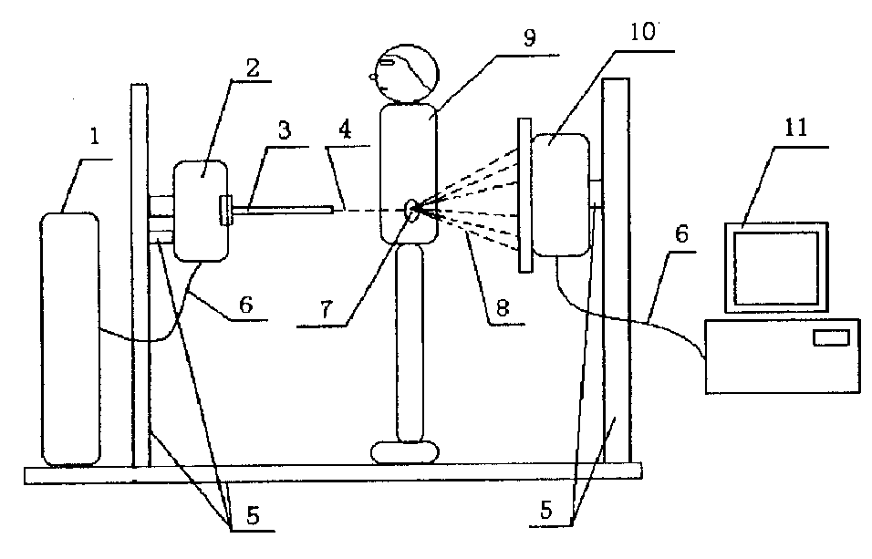 一种探测人体内隐藏毒品的装置和方法 一种探测人体内隐藏毒品的装置和方法