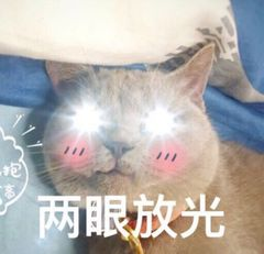 两眼放光 两眼放光