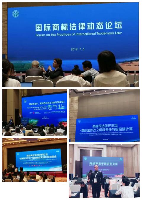 纳杰人参加的议会论坛 纳杰人参加的议会论坛