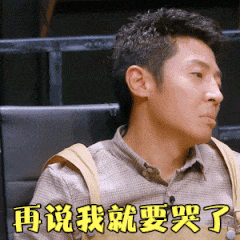 再说我就要哭了