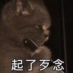 起了歹念 起了歹念