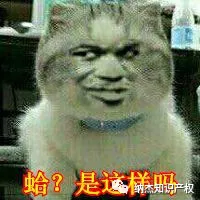 是这样吗? 是这样吗?