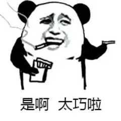 真是太巧了 真是太巧了