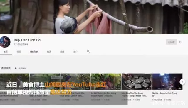 抄袭李子柒的越南博主 抄袭李子柒的越南博主