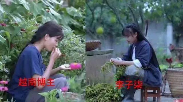 对比中越两位博主的风格 对比中越两位博主的风格