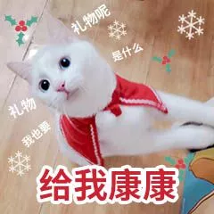 是啥礼物来康康 是啥礼物来康康