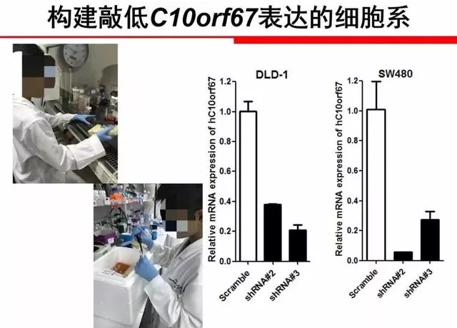被爆学术造假的“神童” 被爆学术造假的“神童”
