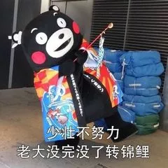 少装不努力，老大徒伤悲啊