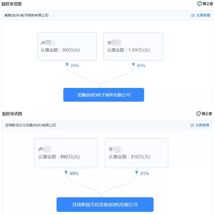 美腕电商公司、佳琦影视公司